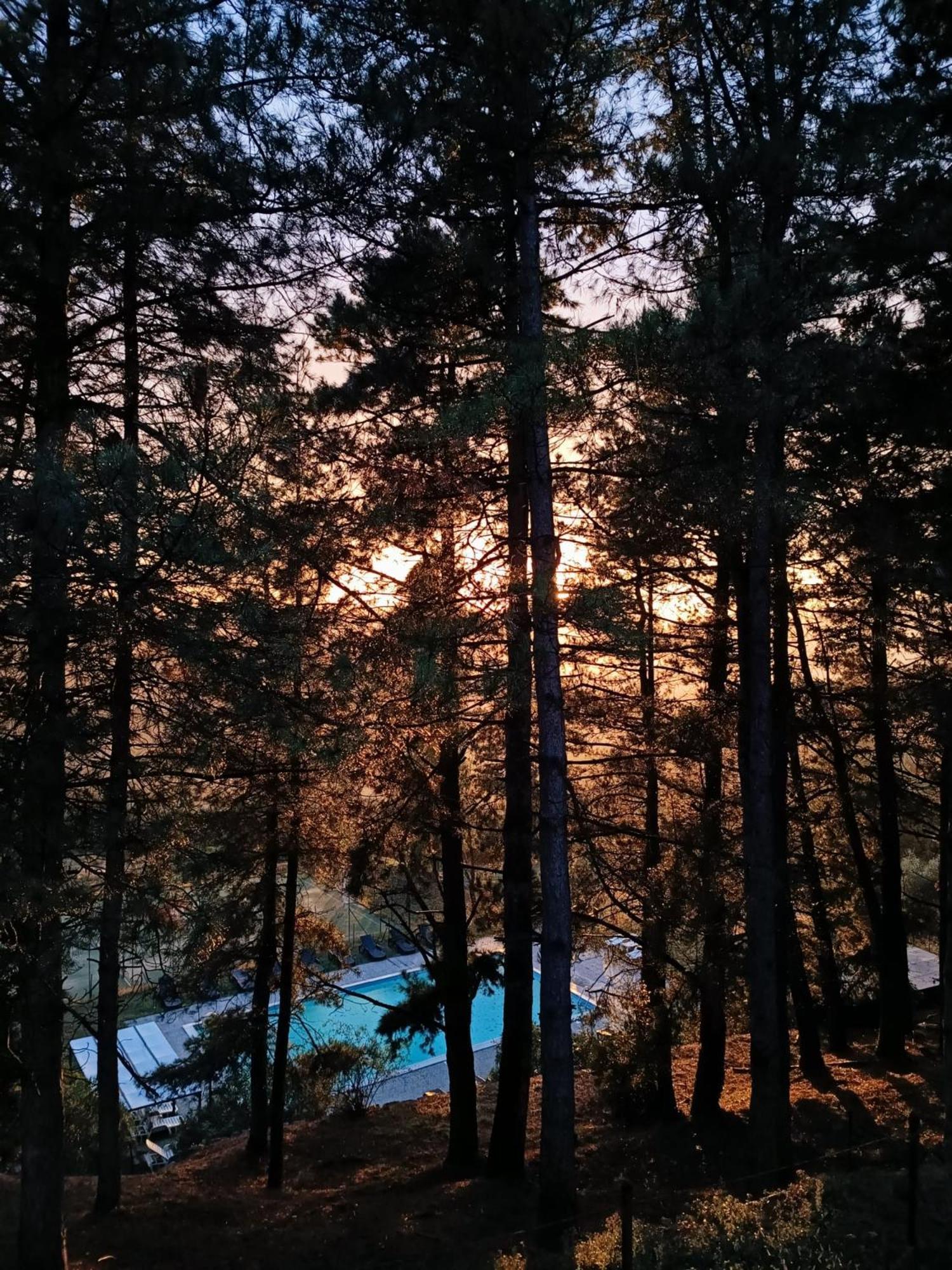 Locanda Di Praticino Rufina Buitenkant foto